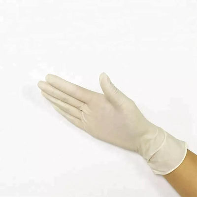 6개 밀리람베르트 라텍스 수술 장갑 불모 분말로 된 안전성 손 라텍스 검사 장갑