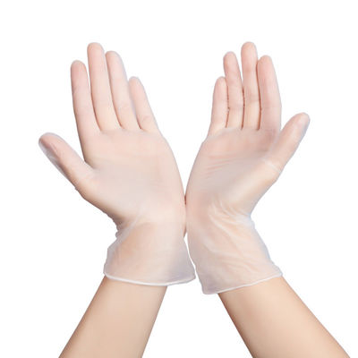 건강 진단을 위한 분말 자유로운 PVC 처분할 수 있는 비닐 장갑 L XL